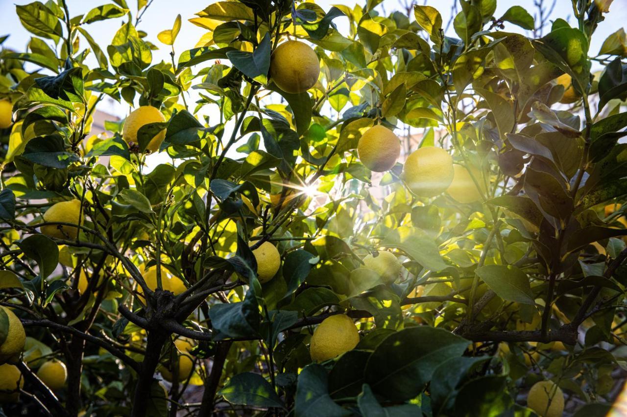 The Lemon Tree Appartement Vilaflor Buitenkant foto